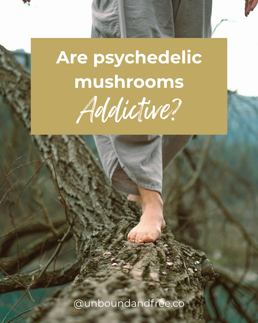 Are Psychedelic Mushrooms Addictive?