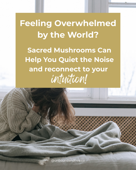 How Sacred Mushrooms Can Help You Stay Centered in a Chaotic World