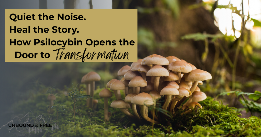 Why Sacred Mushrooms Help You Heal: The Science Behind Psilocybin, Psilocin & the Default Mode Network