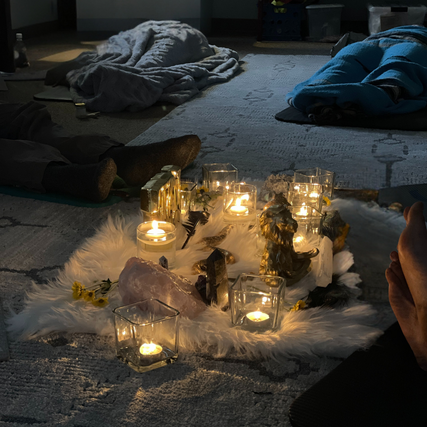 Group Ceremony: Sacred Mushroom Journey with Community