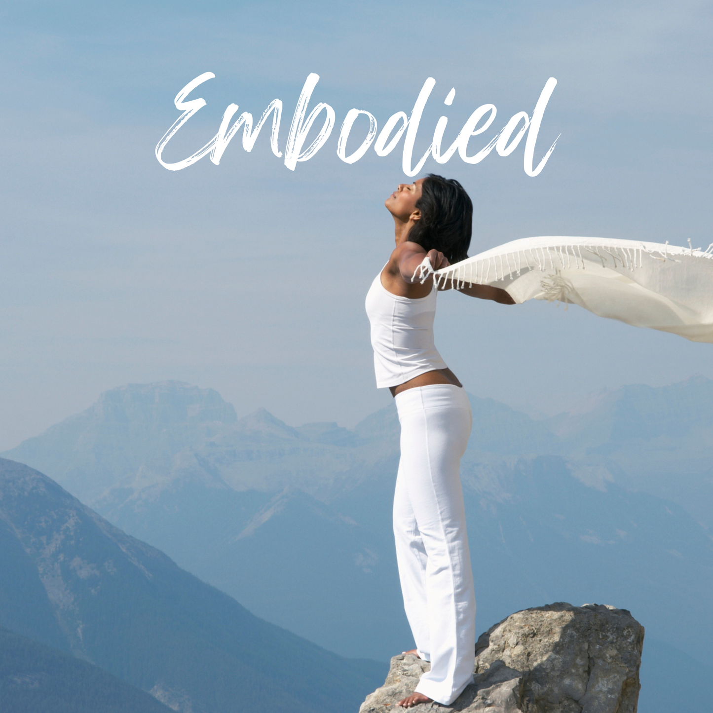 Integration-Embodied Package